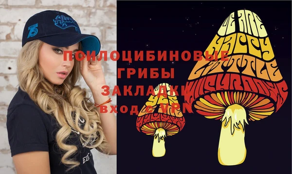 дживик Куйбышев
