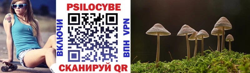 Галлюциногенные грибы прущие грибы  где купить наркотик  мега зеркало  Дудинка 