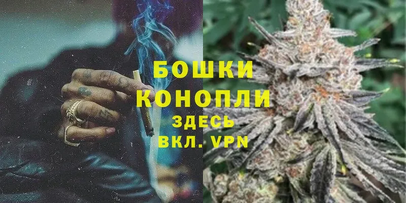 Канабис Amnesia  где купить наркотик  Дудинка 